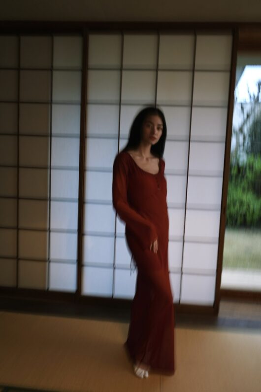 ŌMAGATOKI DRESS - Image 5